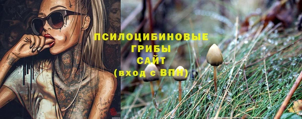 MDMA Заволжск