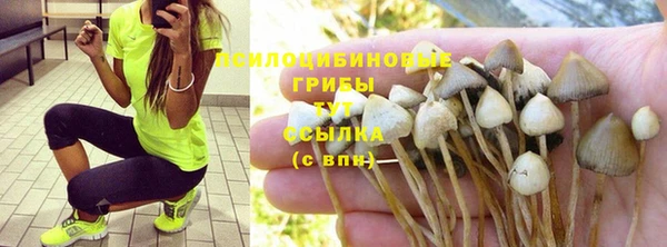 кристаллы Заволжье