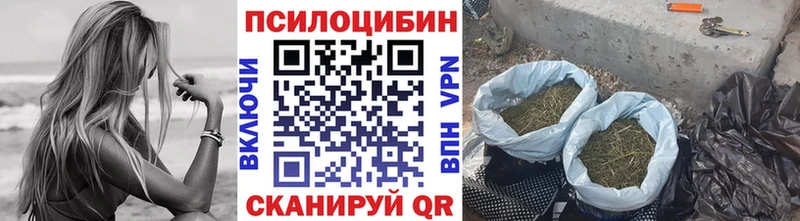 мега онион  Ирбит  Галлюциногенные грибы Magic Shrooms 