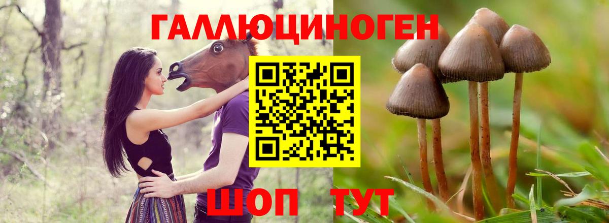 Галлюциногенные грибы Psilocybine cubensis  Вход с VPN  дарнет шоп  Ирбит 